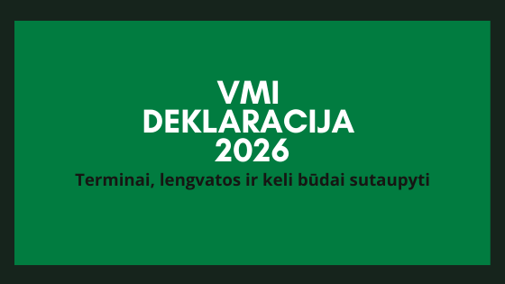 kaip pildyti VMI deklaracija?
